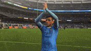 yankee stadium fans GIF by NYCFC