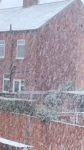 First Snow of the Year Falls in South Shields