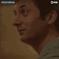 Final Season Showtime GIF by Shameless