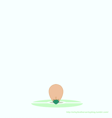 AwesomeAmazing giphyupload rowlet to decidueye GIF