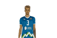 Volleyball Slovenia Sticker by Generali.si