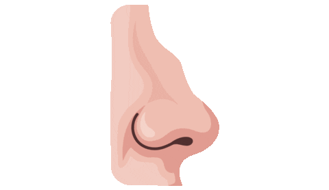 drpauloigor giphyupload rinoplastia drpaulo otoplastia Sticker
