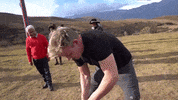 gordonramsay dogs eggs gordon ramsay tail wagging GIF