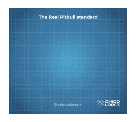 Pitbull Apbt Sticker by Chico Lopez