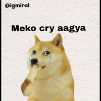 Igmiral GIF