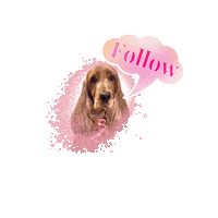 Cocker Spaniel Lady Sticker by Pimp Yo Pets