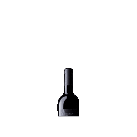 FamilleRouvinez giphygifmaker rouge vin sierre Sticker