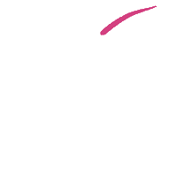 Camikiwi Sticker