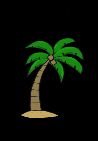 Strand Palmboom GIF by Office & Design Lidia