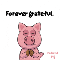 For Life Thank You GIF by VeeFriends