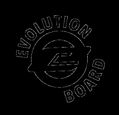 balanceboard prancha de equilibrio GIF by Evolution Board