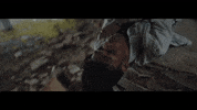 Music Video Applause GIF by whiterosemoxie