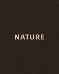 animation design GIF by Isabella Carapella