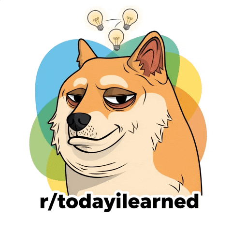 Shiba Inu Idea GIF by Doge Pound