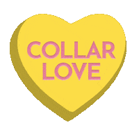 bonboyco dogs sweetheart collar candy heart Sticker