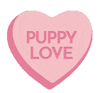 bonboyco dogs sweetheart puppy love collar Sticker