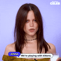 Playing With Kittens