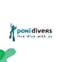 Sea Ocean Sticker by ponidivers