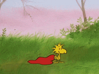 Valentines Day Valentine GIF by Peanuts