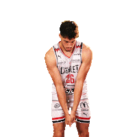 Sport Basketball Sticker by Cholet Basket
