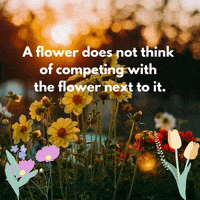 Flower Bloom GIF by Maria Johnsen