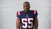 Football Yes GIF by New England Patriots