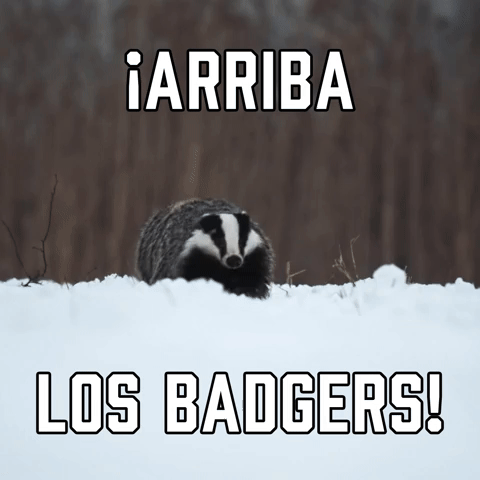Β‘Arriba Los Badgers!