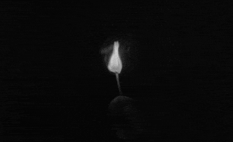 black and white burn GIF