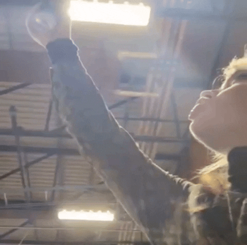 All Hail Cheers GIF by Nottingham Roller Derby