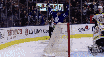 ice hockey sport GIF by NHL