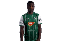 Football Sport Sticker by FORTUNA:LIGA