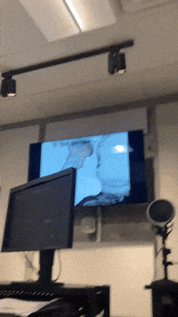 Animation Recording GIF by Alex Boya