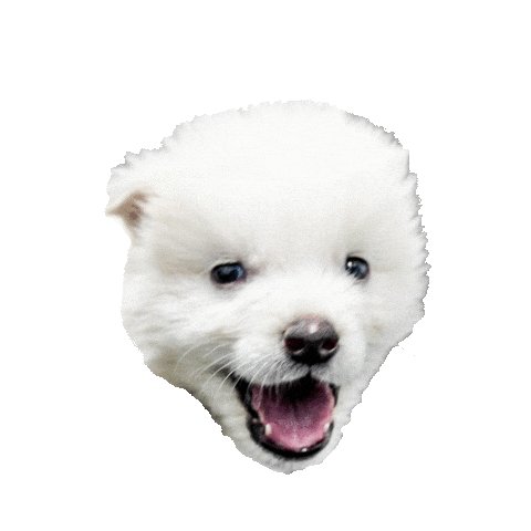 Dire Wolf Puppy Sticker by Colossal