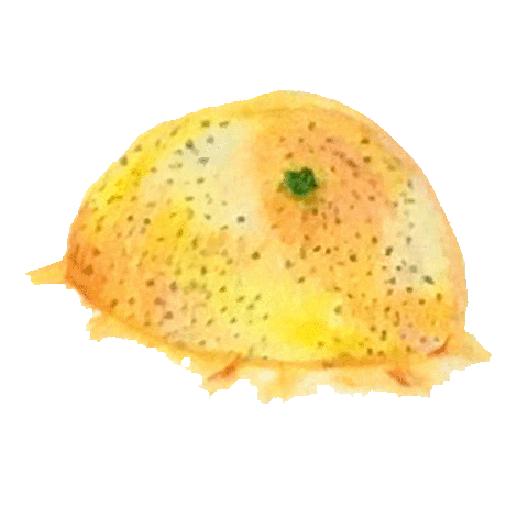 Sticker by MadgenFou