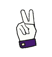 V Play Sticker by Play_Polska