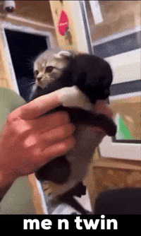 My Twin GIF
