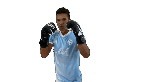 Boxing Box Sticker by SV Viktoria Potsdam e.V.