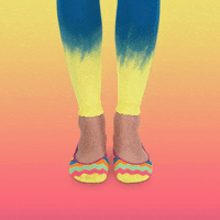 socksinstock socks tights socks in stock GIF