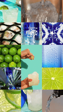 Cheers Drinks GIF by Milagro Tequila