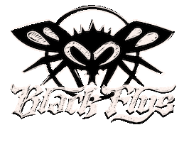 Flylogo Sticker by Black Flys