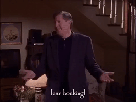 season 2 netflix GIF by Gilmore Girls 