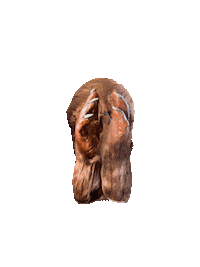 Halloween Mask Sticker by varyer