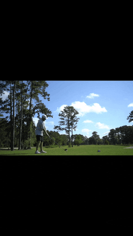 athleticallydeclined giphyupload golf forthefans smashed GIF