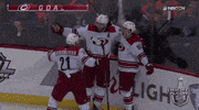 ice hockey sport GIF by NHL