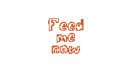 Cookbook Feedmenow Sticker by Alfred A. Knopf