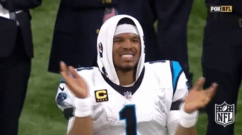 Frustrated Carolina Panthers GIF by NFL