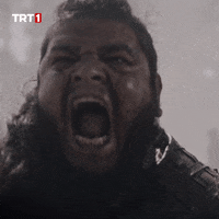 War Omg GIF by TRT