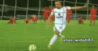 Morocco Winners GIF