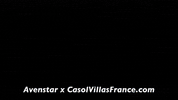 Avenstar GIF by Casol