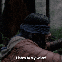 listen bird box GIF by NETFLIX